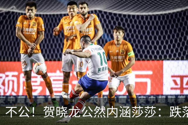 不公！贺晓龙公然内涵莎莎：跌落河北一姐之位，背后竟遭遇网络黑恶势力攻击