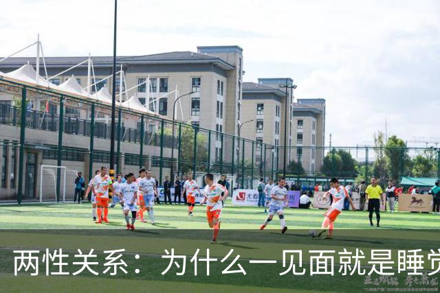 两性关系：为什么一见面就是睡觉，一有机会就不停发生关系？
