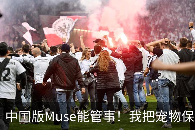 中国版Muse能管事！我把宠物保单、双11算价和周末旅行全交给了灵光2.0