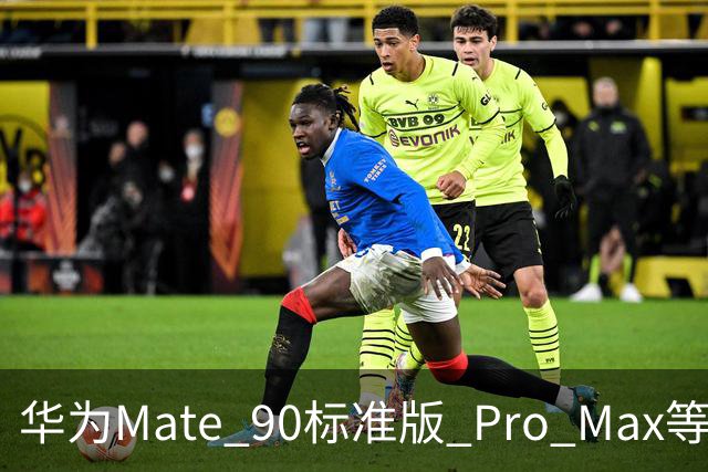 华为Mate 90标准版/ Pro Max等机型开放24期免息分期活动，国补价5499元起