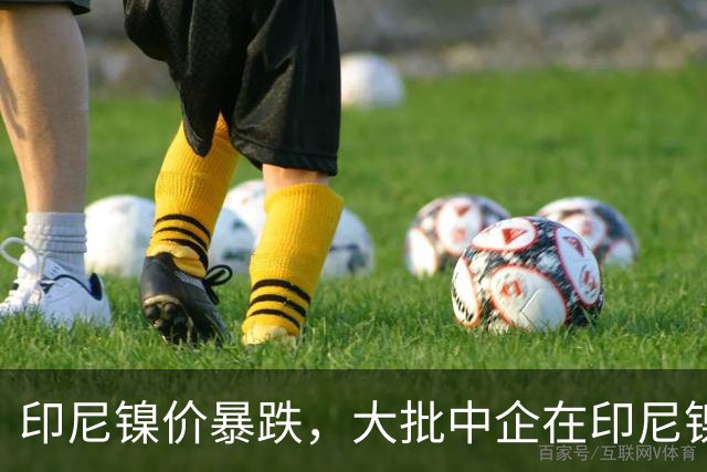印尼镍价暴跌，大批中企在印尼镍厂亏惨，集体减产自救