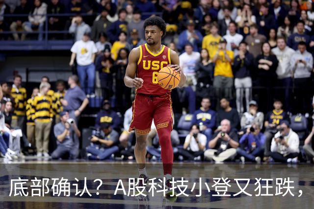 底部确认？A股科技小登又狂跌，覆铜板大牛股直接摁死跌停，发生了什么
