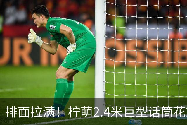 排面拉满！柠萌2.4米巨型话筒花篮，送到肖战演唱会现场