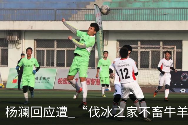 杨澜回应遭 “伐冰之家不畜牛羊”调侃：我不适合直播间吆喝卖百货