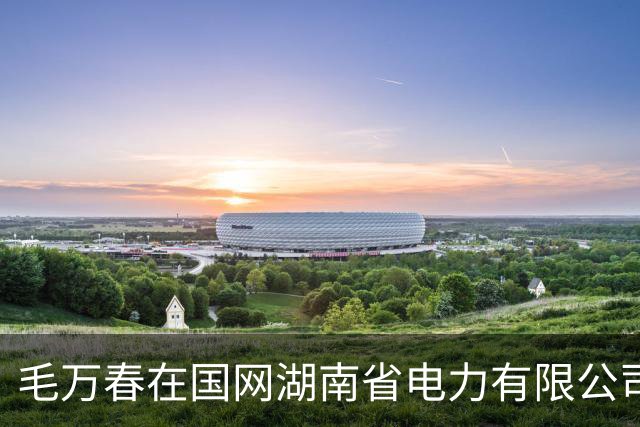 毛万春在国网湖南省电力有限公司调研