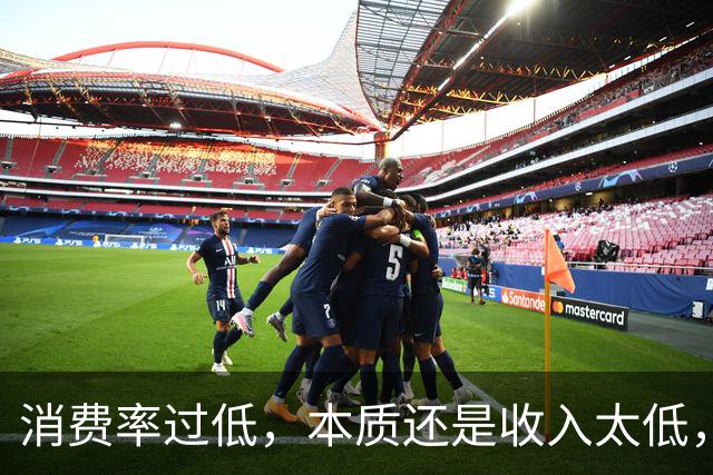 消费率过低，本质还是收入太低，提高分配收入才是重点