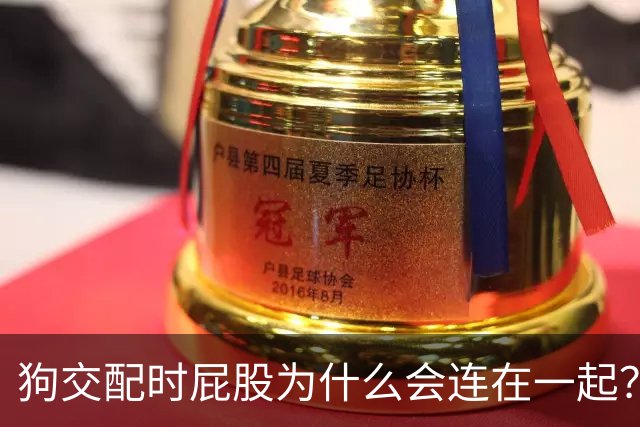 狗交配时屁股为什么会连在一起？是母狗不让，还是公狗不想？