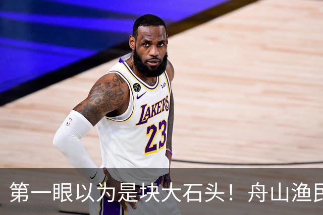 第一眼以为是块大石头！舟山渔民捕获300多斤翻车鱼，已放归大海