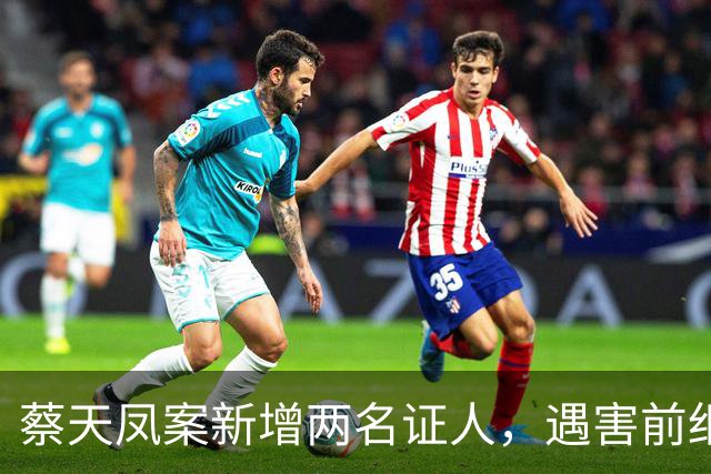 蔡天凤案新增两名证人，遇害前细节公开，邝港智朋友提供重要线索