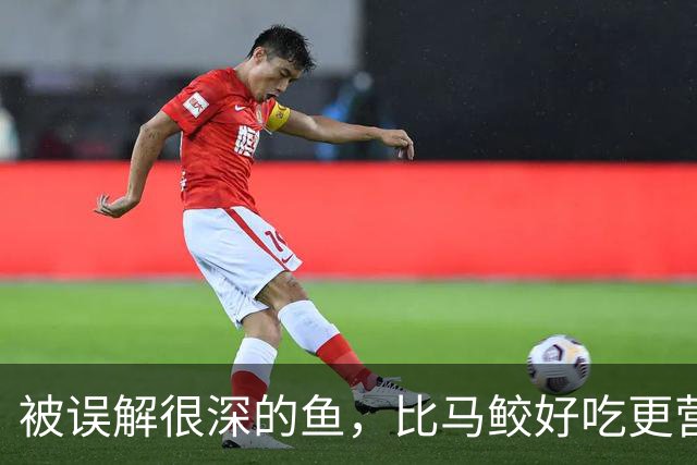 被误解很深的鱼，比马鲛好吃更营养，鱼肉似“千层糕”，我国独有