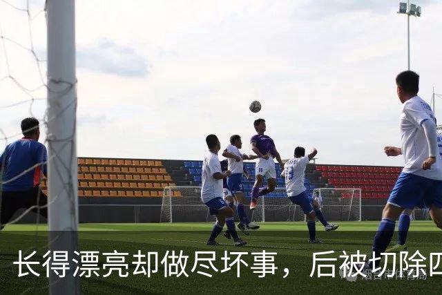 长得漂亮却做尽坏事，后被切除四个器官，就连小十五岁老公也出轨