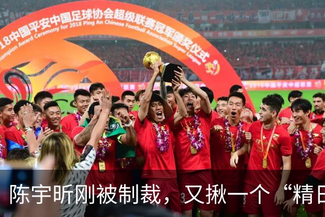 陈宇昕刚被制裁，又揪一个“精日”人员：竟然还是本土企业老板