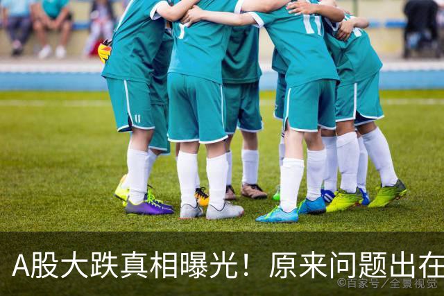 A股大跌真相曝光！原来问题出在这……